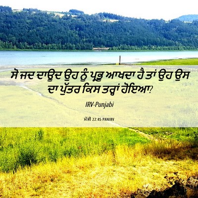 Picture 06 - ਮੱਤੀ 22:45 PANIRV - ਸੋ ਜਦ ਦਾਊਦ ਉਹ ਨੂੰ - Bible Verse Picture