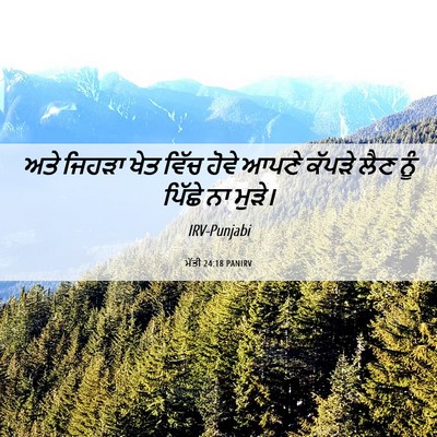 Picture 06 - ਮੱਤੀ 24:18 PANIRV - ਅਤੇ ਜਿਹੜਾ ਖੇਤ ਵਿੱਚ - Bible Verse Picture