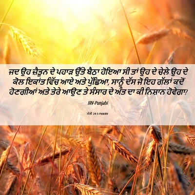 Picture 06 - ਮੱਤੀ 24:3 PANIRV - ਜਦ ਉਹ ਜ਼ੈਤੂਨ ਦੇ - Bible Verse Picture