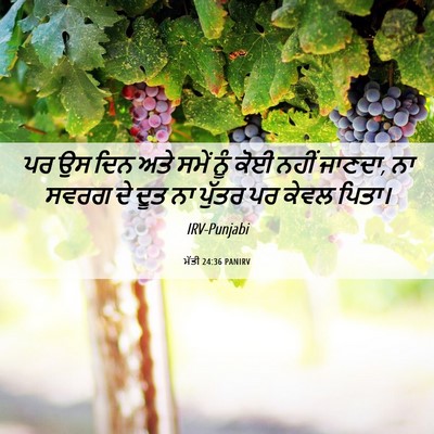 Picture 06 - ਮੱਤੀ 24:36 PANIRV - ਪਰ ਉਸ ਦਿਨ ਅਤੇ ਸਮੇਂ - Bible Verse Picture
