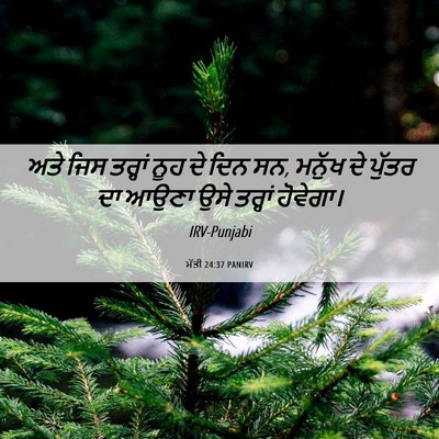 Picture 06 - ਮੱਤੀ 24:37 PANIRV - ਅਤੇ ਜਿਸ ਤਰ੍ਹਾਂ ਨੂਹ - Bible Verse Picture