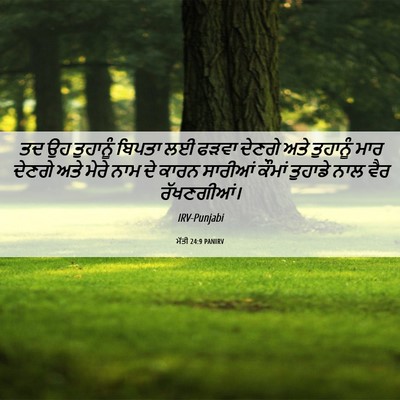 Picture 06 - ਮੱਤੀ 24:9 PANIRV - ਤਦ ਉਹ ਤੁਹਾਨੂੰ - Bible Verse Picture