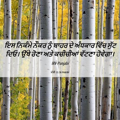 Picture 06 - ਮੱਤੀ 25:30 PANIRV - ਇਸ ਨਿਕੰਮੇ ਨੌਕਰ ਨੂੰ - Bible Verse Picture