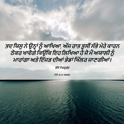 Picture 06 - ਮੱਤੀ 26:31 PANIRV - ਤਦ ਯਿਸੂ ਨੇ ਉਨ੍ਹਾਂ - Bible Verse Picture