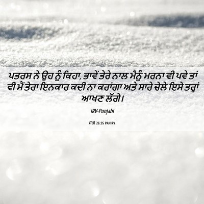Picture 06 - ਮੱਤੀ 26:35 PANIRV - ਪਤਰਸ ਨੇ ਉਹ ਨੂੰ - Bible Verse Picture