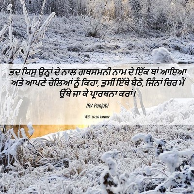Picture 06 - ਮੱਤੀ 26:36 PANIRV - ਤਦ ਯਿਸੂ ਉਨ੍ਹਾਂ ਦੇ - Bible Verse Picture