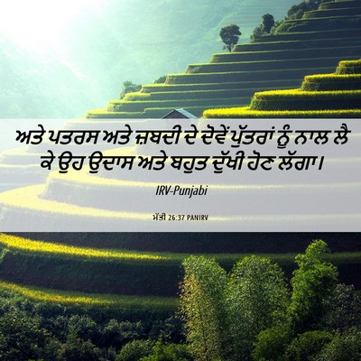 Picture 06 - ਮੱਤੀ 26:37 PANIRV - ਅਤੇ ਪਤਰਸ ਅਤੇ ਜ਼ਬਦੀ - Bible Verse Picture