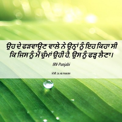 Picture 06 - ਮੱਤੀ 26:48 PANIRV - ਉਹ ਦੇ ਫੜਵਾਉਣ ਵਾਲੇ - Bible Verse Picture
