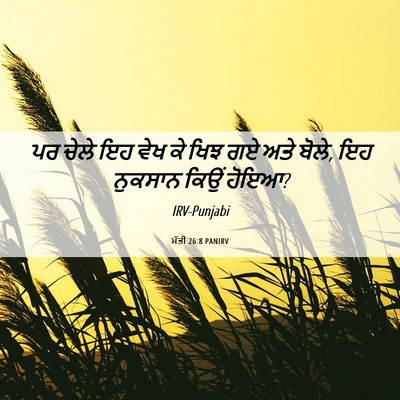 Picture 06 - ਮੱਤੀ 26:8 PANIRV - ਪਰ ਚੇਲੇ ਇਹ ਵੇਖ ਕੇ - Bible Verse Picture