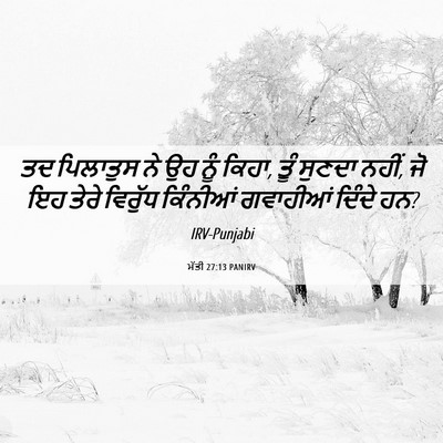 Picture 06 - ਮੱਤੀ 27:13 PANIRV - ਤਦ ਪਿਲਾਤੁਸ ਨੇ ਉਹ - Bible Verse Picture