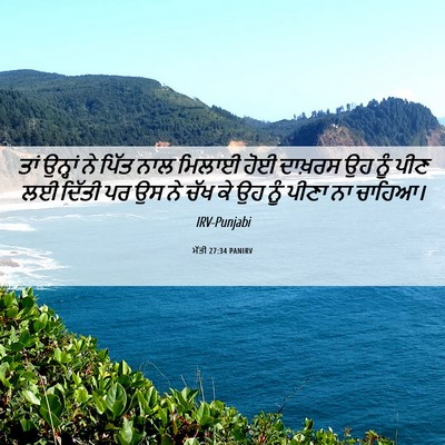 Picture 06 - ਮੱਤੀ 27:34 PANIRV - ਤਾਂ ਉਨ੍ਹਾਂ ਨੇ ਪਿੱਤ - Bible Verse Picture