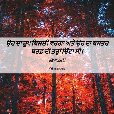 Picture 06 - ਮੱਤੀ 28:3 PANIRV - ਉਹ ਦਾ ਰੂਪ ਬਿਜਲੀ - Bible Verse Picture