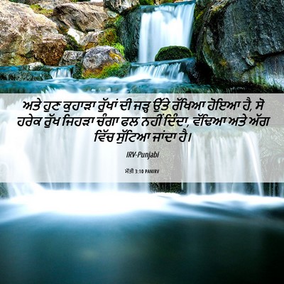 Picture 06 - ਮੱਤੀ 3:10 PANIRV - ਅਤੇ ਹੁਣ ਕੁਹਾੜਾ - Bible Verse Picture