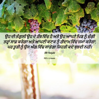 Picture 06 - ਮੱਤੀ 3:12 PANIRV - ਉਹ ਦੀ ਤੰਗੁਲੀ ਉਹ ਦੇ - Bible Verse Picture