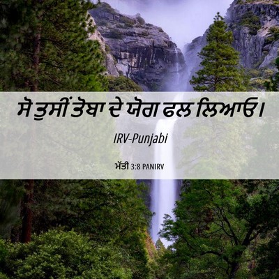 Picture 06 - ਮੱਤੀ 3:8 PANIRV - ਸੋ ਤੁਸੀਂ ਤੋਬਾ ਦੇ - Bible Verse Picture