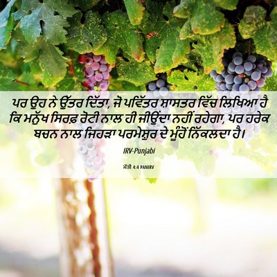 Picture 06 - ਮੱਤੀ 4:4 PANIRV - ਪਰ ਉਹ ਨੇ ਉੱਤਰ - Bible Verse Picture