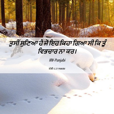 Picture 06 - ਮੱਤੀ 5:27 PANIRV - ਤੁਸੀਂ ਸੁਣਿਆ ਹੈ ਜੋ - Bible Verse Picture