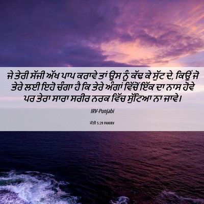 Picture 06 - ਮੱਤੀ 5:29 PANIRV - ਜੇ ਤੇਰੀ ਸੱਜੀ ਅੱਖ - Bible Verse Picture