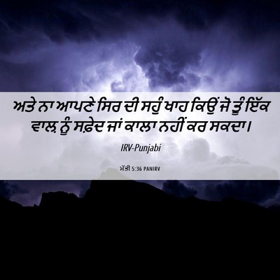 Picture 06 - ਮੱਤੀ 5:36 PANIRV - ਅਤੇ ਨਾ ਆਪਣੇ ਸਿਰ ਦੀ - Bible Verse Picture