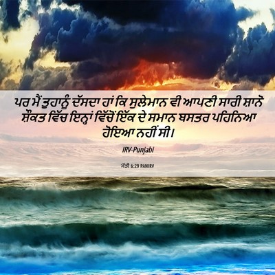 Picture 06 - ਮੱਤੀ 6:29 PANIRV - ਪਰ ਮੈਂ ਤੁਹਾਨੂੰ - Bible Verse Picture