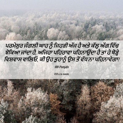 Picture 06 - ਮੱਤੀ 6:30 PANIRV - ਪਰਮੇਸ਼ੁਰ ਜੰਗਲੀ - Bible Verse Picture