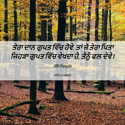 Picture 06 - ਮੱਤੀ 6:4 PANIRV - ਤੇਰਾ ਦਾਨ ਗੁਪਤ ਵਿੱਚ - Bible Verse Picture