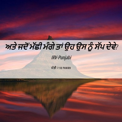 Picture 06 - ਮੱਤੀ 7:10 PANIRV - ਅਤੇ ਜਦੋਂ ਮੱਛੀ ਮੰਗੇ - Bible Verse Picture