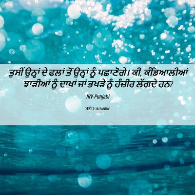 Picture 06 - ਮੱਤੀ 7:16 PANIRV - ਤੁਸੀਂ ਉਨ੍ਹਾਂ ਦੇ - Bible Verse Picture