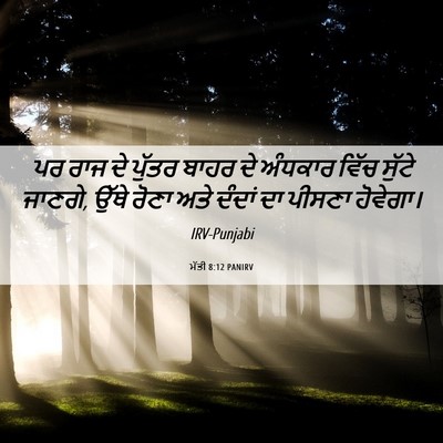 Picture 06 - ਮੱਤੀ 8:12 PANIRV - ਪਰ ਰਾਜ ਦੇ ਪੁੱਤਰ - Bible Verse Picture