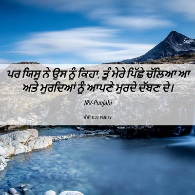 Picture 06 - ਮੱਤੀ 8:22 PANIRV - ਪਰ ਯਿਸੂ ਨੇ ਉਸ ਨੂੰ - Bible Verse Picture