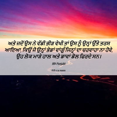 Picture 06 - ਮੱਤੀ 9:36 PANIRV - ਅਤੇ ਜਦੋਂ ਉਸ ਨੇ ਵੱਡੀ - Bible Verse Picture