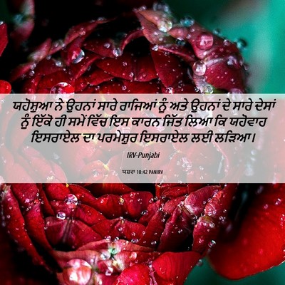 Picture 06 - ਯਸ਼ਵਾ 10:42 PANIRV - ਯਹੋਸ਼ੁਆ ਨੇ ਉਹਨਾਂ - Bible Verse Picture