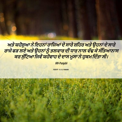 Picture 06 - ਯਸ਼ਵਾ 11:12 PANIRV - ਅਤੇ ਯਹੋਸ਼ੁਆ ਨੇ - Bible Verse Picture