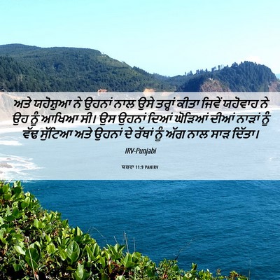 Picture 06 - ਯਸ਼ਵਾ 11:9 PANIRV - ਅਤੇ ਯਹੋਸ਼ੁਆ ਨੇ - Bible Verse Picture