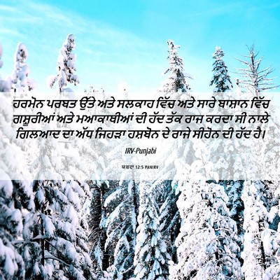 Picture 06 - ਯਸ਼ਵਾ 12:5 PANIRV - ਹਰਮੋਨ ਪਰਬਤ ਉੱਤੇ - Bible Verse Picture