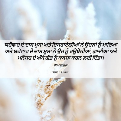 Picture 06 - ਯਸ਼ਵਾ 12:6 PANIRV - ਯਹੋਵਾਹ ਦੇ ਦਾਸ ਮੂਸਾ - Bible Verse Picture