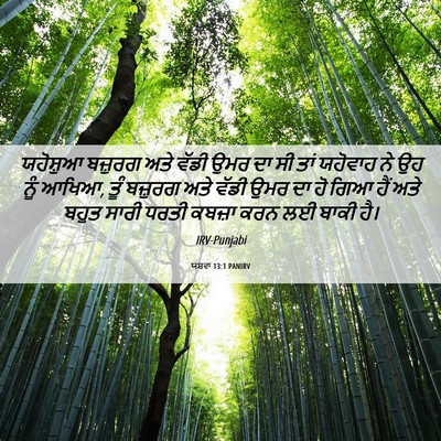 Picture 06 - ਯਸ਼ਵਾ 13:1 PANIRV - ਯਹੋਸ਼ੁਆ ਬਜ਼ੁਰਗ - Bible Verse Picture