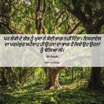 Picture 06 - ਯਸ਼ਵਾ 13:33 PANIRV - ਪਰ ਲੇਵੀ ਦੇ ਗੋਤ ਨੂੰ - Bible Verse Picture