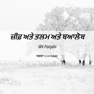 Picture 06 - ਯਸ਼ਵਾ 15:24 PANIRV - ਜ਼ੀਫ਼ ਅਤੇ ਤਲਮ ਅਤੇ - Bible Verse Picture