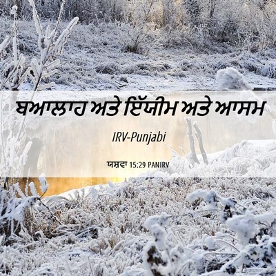 Picture 06 - ਯਸ਼ਵਾ 15:29 PANIRV - ਬਆਲਾਹ ਅਤੇ ਇੱਯੀਮ - Bible Verse Picture