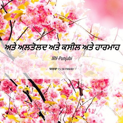 Picture 06 - ਯਸ਼ਵਾ 15:30 PANIRV - ਅਤੇ ਅਲਤੋਲਦ ਅਤੇ - Bible Verse Picture
