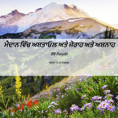 Picture 06 - ਯਸ਼ਵਾ 15:33 PANIRV - ਮੈਦਾਨ ਵਿੱਚ - Bible Verse Picture