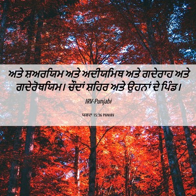 Picture 06 - ਯਸ਼ਵਾ 15:36 PANIRV - ਅਤੇ ਸ਼ਅਰਯਿਮ ਅਤੇ - Bible Verse Picture