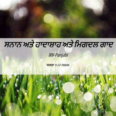 Picture 06 - ਯਸ਼ਵਾ 15:37 PANIRV - ਸਨਾਨ ਅਤੇ ਹਾਦਾਸ਼ਾਹ - Bible Verse Picture
