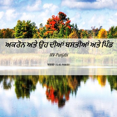 Picture 06 - ਯਸ਼ਵਾ 15:45 PANIRV - ਅਕਰੋਨ ਅਤੇ ਉਹ ਦੀਆਂ - Bible Verse Picture