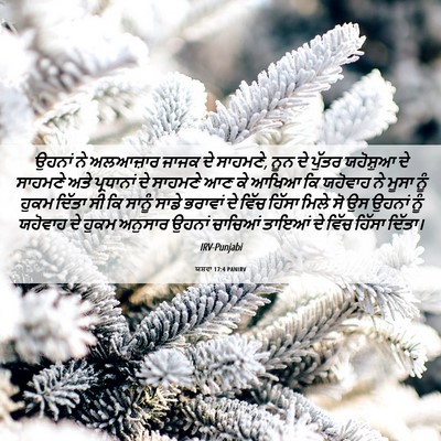 Picture 06 - ਯਸ਼ਵਾ 17:4 PANIRV - ਉਹਨਾਂ ਨੇ ਅਲਆਜ਼ਾਰ - Bible Verse Picture