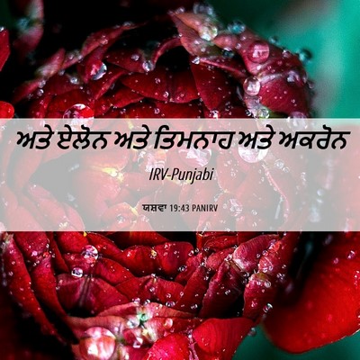 Picture 06 - ਯਸ਼ਵਾ 19:43 PANIRV - ਅਤੇ ਏਲੋਨ ਅਤੇ - Bible Verse Picture