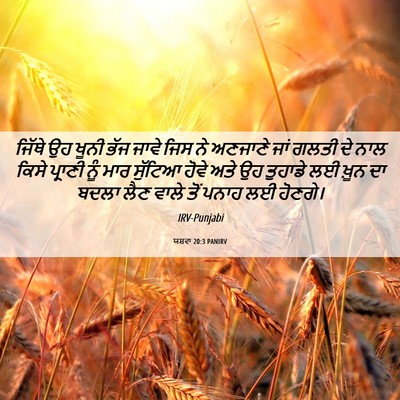 Picture 06 - ਯਸ਼ਵਾ 20:3 PANIRV - ਜਿੱਥੇ ਉਹ ਖੂਨੀ ਭੱਜ - Bible Verse Picture