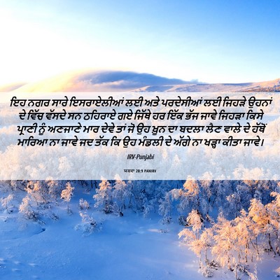 Picture 06 - ਯਸ਼ਵਾ 20:9 PANIRV - ਇਹ ਨਗਰ ਸਾਰੇ - Bible Verse Picture