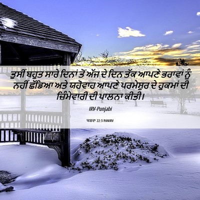 Picture 06 - ਯਸ਼ਵਾ 22:3 PANIRV - ਤੁਸੀਂ ਬਹੁਤ ਸਾਰੇ - Bible Verse Picture